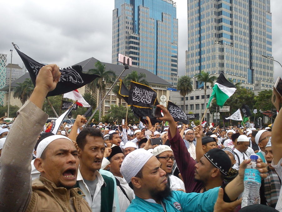 Picture of Muslim people at a rally. 